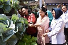 Kelompok Wanita Tani...