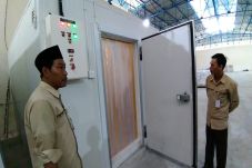 Daging Beku Makin Diminati,...