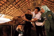 Sambut Idul Adha, Pemkot...