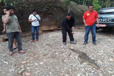BKSDA Amankan Buaya...