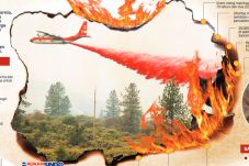 Kebakaran Hutan di California,...