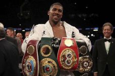 Anthony Joshua Sebut...