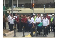 Tinjau Pelican Crossing...