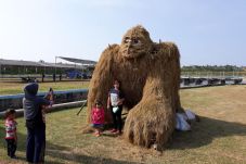 Festival Jerami Pembuktian...