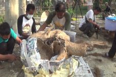 Makam Gajah Milik Bonbin...
