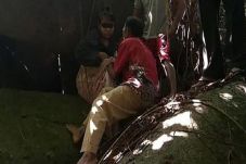 Nasib Wanita Indonesia...