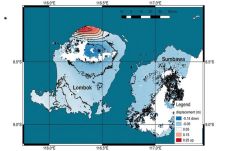 Pasca Gempa Dahsyat,...