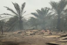 Kebakaran Hutan Hanguskan...