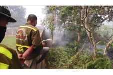 Kebakaran Lahan Gambut...