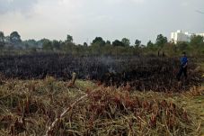 Lahan Kosong di Jakabaring...