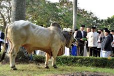 Jokowi Beberkan Alasannya...