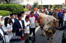 Idul Adha, Anies Baswedan...