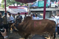 Ridwan Kamil Kurban...