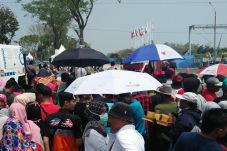 Gratis, Cabang Kano...