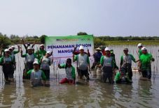 Kurangi Abrasi Pantai,...