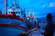 Dorong Pariwisata, Bea...