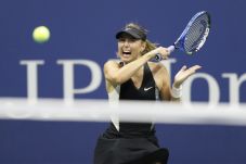 Usir Cirstea, Sharapova...