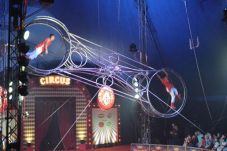 The Great British Circus...