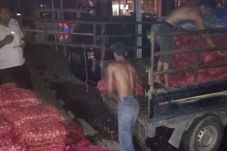 Penyelundupan 1,3 Ton...