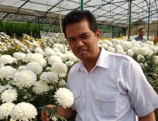 Kementan Genjot Peningkatan...