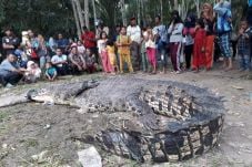 Dianggap Meresahkan,...