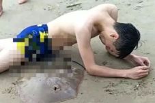 Renang di Laut, Kemaluan...