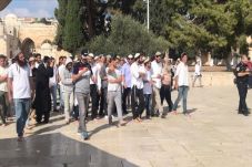 Ratusan Pemukiman Israel...