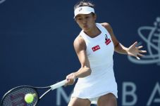 Zhang Shuai Gulingkan...