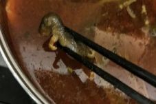 Ada Tikus di Sup Wanita...