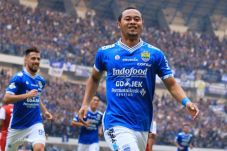 Hadapi Laga Tandang,...