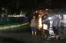 Wali Kota Tinjau Lokasi...