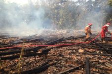 7 Rumah Terbakar, 2...