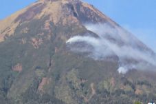 Pelaku Bakar Hutan Gunung...