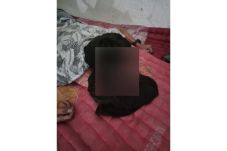 Suka Isap Lem, Andi...