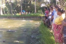 Warga Panyabungan Geger,...