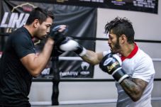 Jorge Linares Berburu...