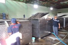 Harga Susu Sapi di Salatiga...
