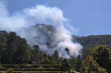 Hutan di Kawasan Candi...