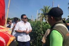 Rachmat Gobel Bangun...