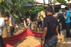 Polisi Gerebek Arena...