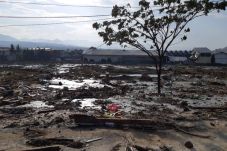 71 WNA Jadi Korban Gempa...