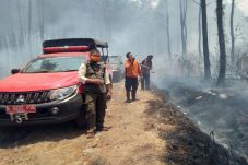 Lidah Api Capai 12 Meter,...