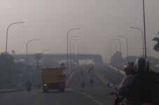 Kebakaran Hutan dan...