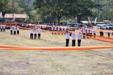 Stagen Sepanjang 1.016...
