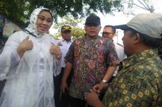 Bupati Cellica Marah...