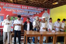 Caleg Perindo Dapil...
