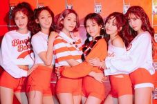 Malam Ini, AOA Tutup...