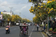 Viral dan Bikin Heboh,...
