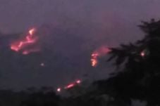 Api Terus Membesar,...