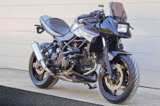 Suzuki SV650 Concept...